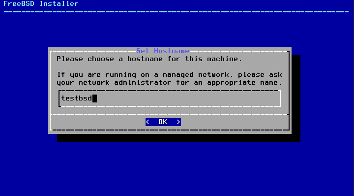 FreeBSD installer hostname